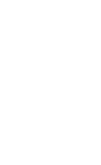 Dzamage